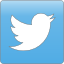 Κοινοποίηση στο twitter twitter